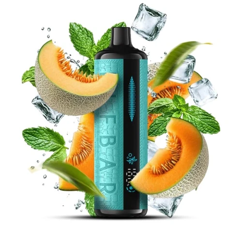 Одноразовая Электронная Сигарета Elf Bar E-Shisha Melon Mint (Дыня Мята) (12000 Затяжек) купить