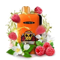 Одноразовая Электронная Сигарета Elf Bar GH Jasmine Raspberry (Жасмин Малина) (23000 Затяжек) купить