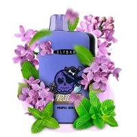 Одноразова Електронна Сигарета Elf Bar GH Purple Mint (Фіолетова М'ята) (23000 Затяжок) купить
