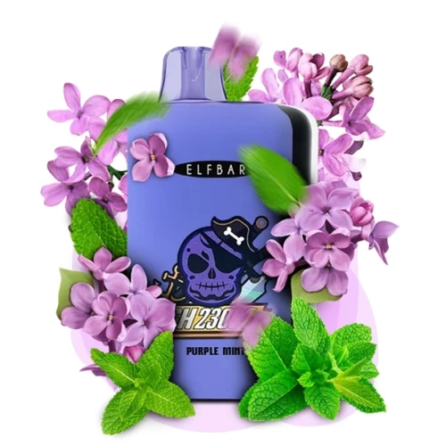 Одноразова Електронна Сигарета Elf Bar GH Purple Mint (Фіолетова М'ята) (23000 Затяжок) купить
