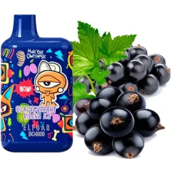 Одноразовая Электронная Сигарета Elf Bar BC Blackcurrant Ribena Ice (Черная Смородина Рябина Лед) (4000 Затяжек) (Limited Edition) купить