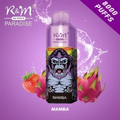 Одноразова Електронна Сигарета R&M Paradise Mamba (Мамба) (8000 Затяжок) купить