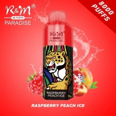 Одноразова Електронна Сигарета R&M Paradise Raspberry Peach Ice (Малина Персик Лід) (8000 Затяжок) купить