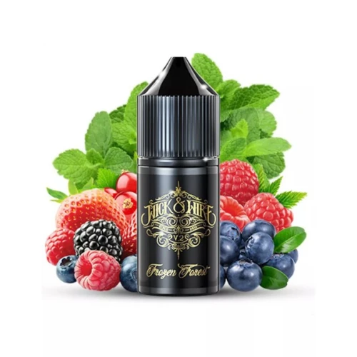 Рідина на сольовому нікотині Wick&Wire V2 Frozen Forest (Фрозен Форест) 30 ml купить