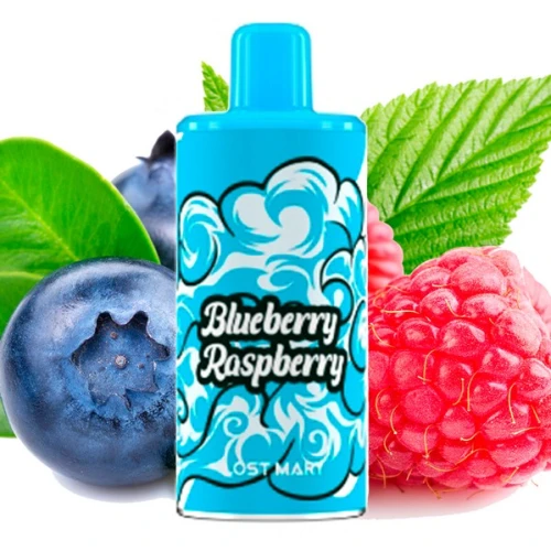 Заправлений Картридж Lost Mary Psyper 2500 Blueberry Raspberry (Чорниця Малина) купить