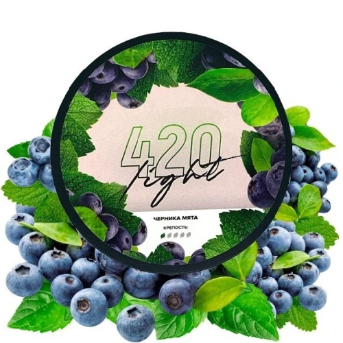 Табак 420 Light Line Blueberry Mint (Черника Мята) 40гр купить