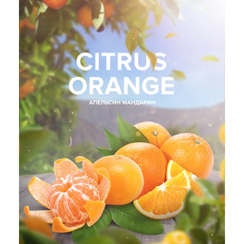 Табак 420 Tea Line Citrus Orange (Цитрус Апельсин) 125гр купить