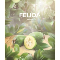 Табак 420 Tea Line Feijoa (Фейхоа) 125гр