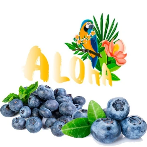 Безтютюнова Суміш Aloha Blueberry (Чорниця) 40гр купить