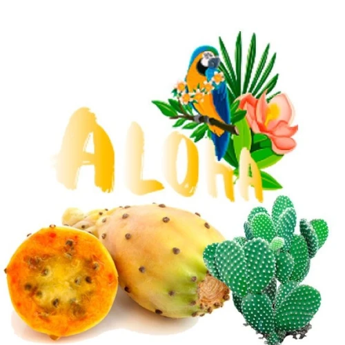 Безтютюнова Суміш Aloha Cactus (Кактус) 40гр купить