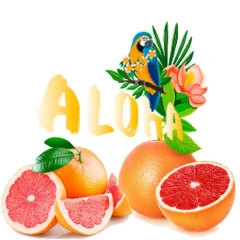 Безтютюнова Суміш Aloha Grapefruit (Грейпфрут) 40гр купить