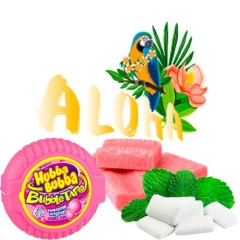 Безтютюнова Суміш Aloha Gum (Жуйка) 40гр купить