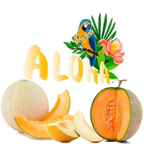 Безтютюнова Суміш Aloha Melon (Диня) 40гр купить
