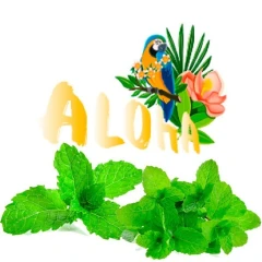 Бестабачная Смесь Aloha Mint (Мята) 40гр купить