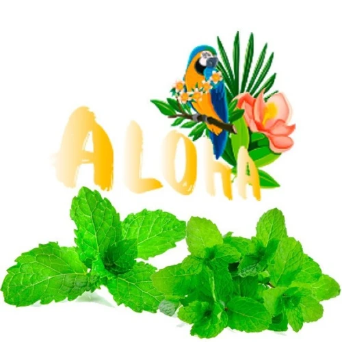 Безтютюнова Суміш Aloha Mint (М'ята) 40гр купить