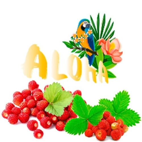 Безтютюнова Суміш Aloha Wild Berry (Суниця) 40гр купить