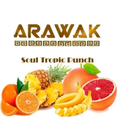 Табак Arawak Soul Tropic Punch (Соул Тропик Пунш) 250гр купить