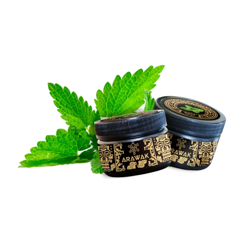 Тютюн Arawak Mint (М'ята) 100гр купить