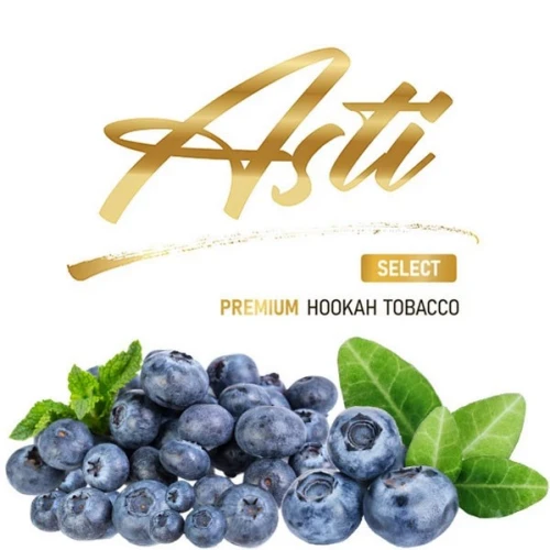 Тютюн Asti Premium Blueberry (Чорниця) 100гр купить