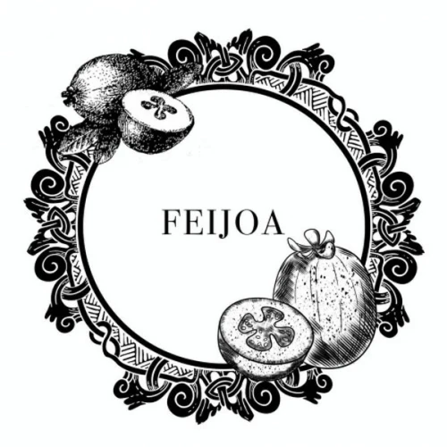 Табак Bagator Feijoa (Фейхоа) 50гр купить