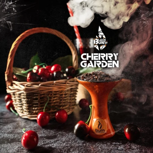 Тютюн Black Burn Cherry Garden (Вишневий Сад) 25гр купить