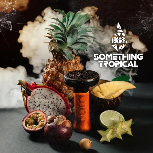 Тютюн Black Burn Something Tropical (Щось Тропіче) 25гр купить