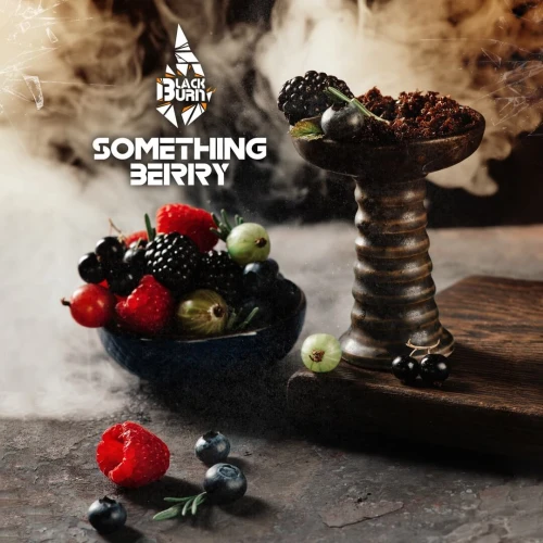 Тютюн Black Burn Something Berry (Щось Ягідне) 25гр купить