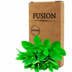 Табак Fusion Medium Line Mint (Мята) 100гр купить