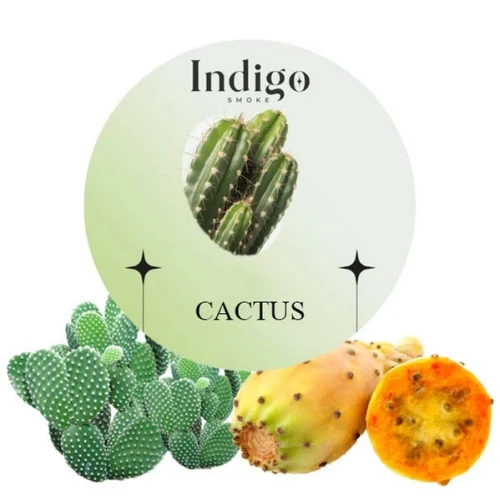 Безтютюнова Суміш IndiGo Cactus (Кактус) 100 гр купить