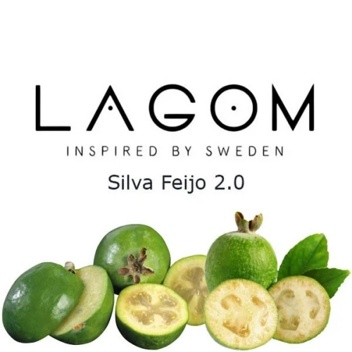 Тютюн Lagom Navy Line Silva Feijo (Сільва Фейхо) 40гр купить