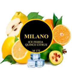 Табак Milano M173 Ice Feijoa Quince Citrus (Фейхоа Айва Цитрус Лёд) 100гр купить