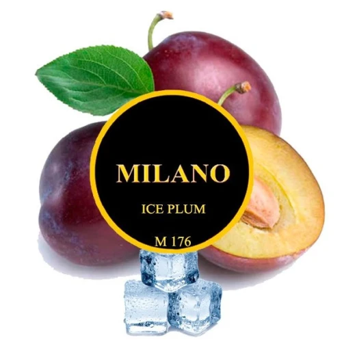 Табак Milano M176 Ice Plum (Слива Лед) 100гр купить