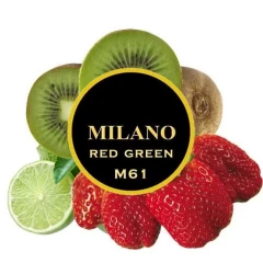Табак Milano M61 Red Green (Рэд Грин) 100гр купить