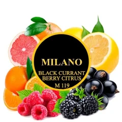 Табак Milano M119 Black Currant Berry Citrus (Черная Смородина Ягоды Цитрус) 50гр купить