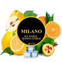 Табак Milano M173 Ice Feijoa Quince Citrus (Фейхоа Айва Цитрус Лед) 50гр купить