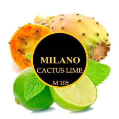 Табак Milano M105 Cactus Lime (Кактус Лайм) 100гр купить