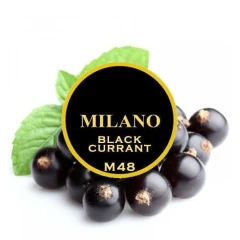 Табак Milano M48 Black Currant (Черная Смородина) 100гр купить