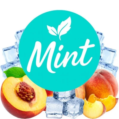 Бестабачная Смесь Mint Peach Ice (Персик Лёд) 100гр купить