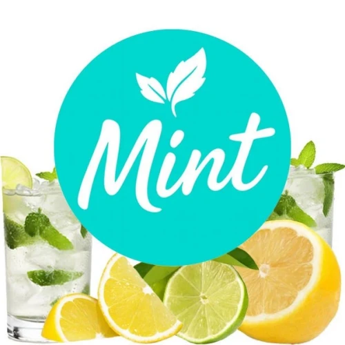 Бестабачная Смесь Mint Mojito (Мохито) 100гр купить