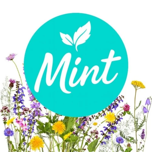 Бестабачная Смесь Mint Floral (Цветочный) 50гр купить