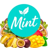 Бестабачная Смесь Mint Pineapple Mango Passion Fruit (Ананас Манго Маракуйя) 50гр купить