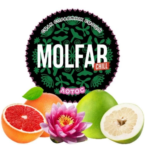 Табак Molfar Chill Line Лотос (Лотос) 100гр купить
