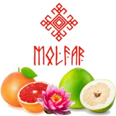 Табак Molfar Chill Line The One (Первый) 200гр купить