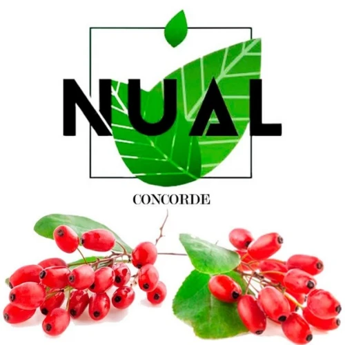 Тютюн Nual Concorde (Конкорд) 100гр купить