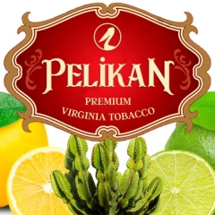 Тютюн Pelikan Cactus Lemon Lime (Кактус Лимон Лайм) 50гр купить