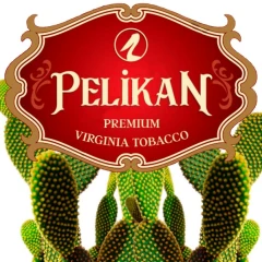 Тютюн Pelikan Sweet Cactus (Солодкий Кактус) 50гр купить