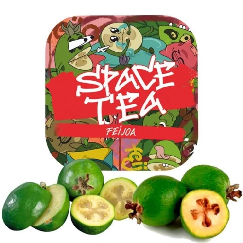 Безтютюнова Суміш Space Tea Feijoa (Фейхоа) 100гр купить