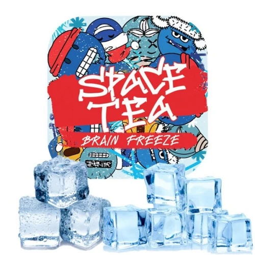 Бестабачная Смесь Space Tea Brain Freeze (Холодок) 40гр купить