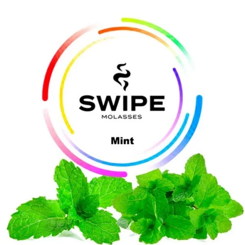 Безтютюнова Суміш Swipe Mint (М'ята) 100гр купить