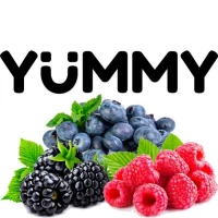 Табак Yummy Лісові Ягоди (Лесные Ягоды) 100гр купить
